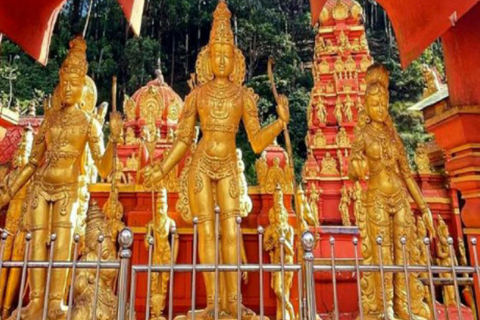 Trip from Kandy to Ambewela Railway Station via Nuwara Eliya Kandy to Nuwara Eliya and Ambewela Drop tour by car or van