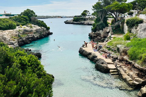 Cala en Blanes: Secret spots for the best dives with a local guide