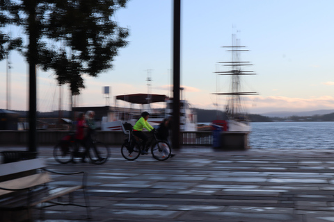 Oslo: Private Vintage Walking Tour with Photos Private Vintage Oslo Walk & Aesthetic Photos