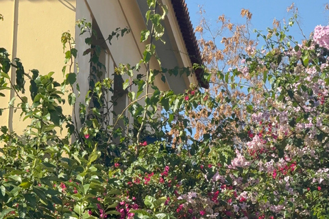 Dieux, héros et vue sur l&#039;Acropole : visite à pied de l&#039;Athènes mythique