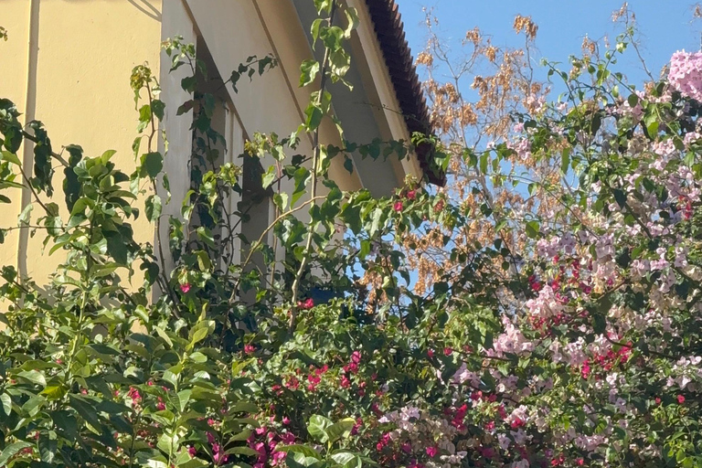 Dieux, héros et vue sur l&#039;Acropole : visite à pied de l&#039;Athènes mythique