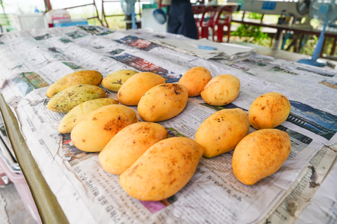Bangkok Green Oasis Nature Bike Tour