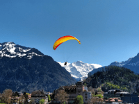 Interlaken & Grindelwald (Private Tour) - Hizvo