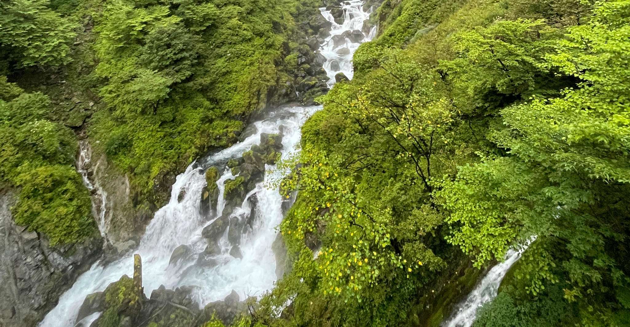 One day Nikko Sightseeing private tour - Housity