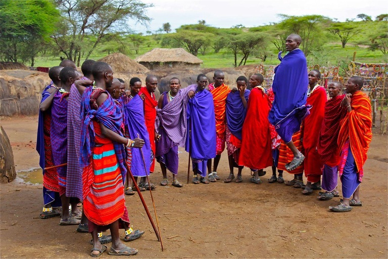 Day Tour to Masai Village From Nairobi