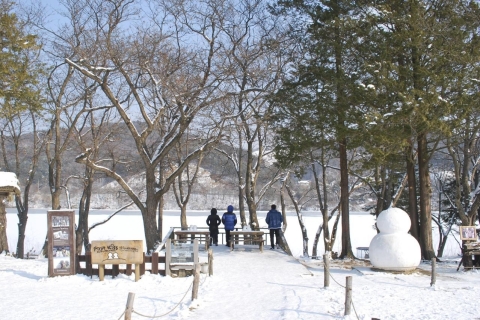 Seoul: Alpaca World & Nami Island (optionaler koreanischer Garten)Private Tour mit Garten, mit Hotelabholung/-abgabe