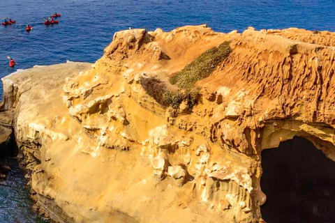 La Jolla: Full-Day Snorkel Gear Rental with Wetsuit Option