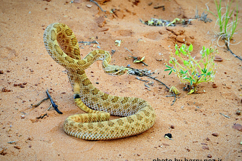 Monument Valley: Scenic 3.5-Hour Cultural Tour