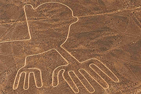 Nazca Lines Flight with Tourist Ticket and Certified Pilots Premium - Pickup and drop-off