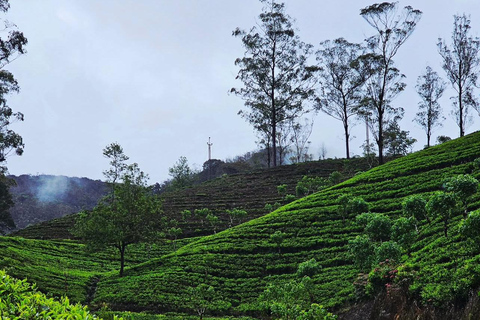 Ella To Kandy Private Transfer With Train Ride Experience