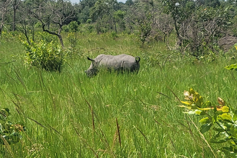 From Kampala: Ziwa Rhino Sanctuary Day Tour with Lunch