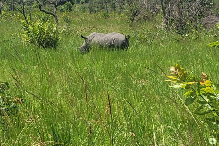 From Kampala: Ziwa Rhino Sanctuary Day Tour with Lunch