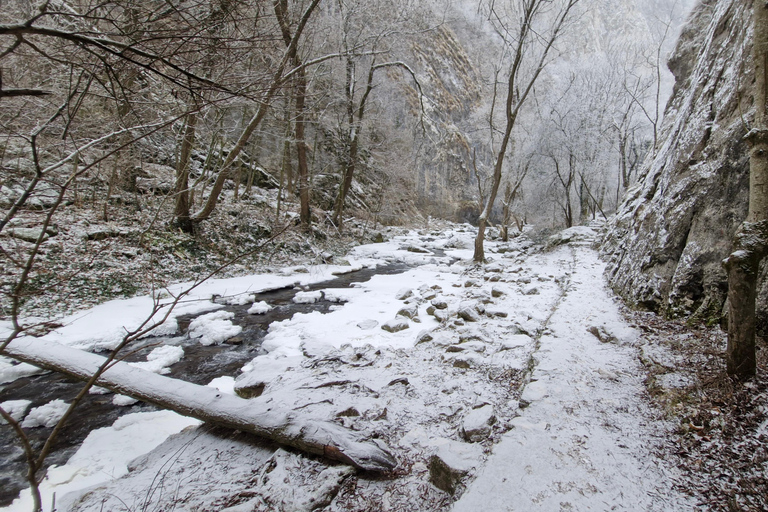 From Cluj: Turda Salt Mine, Gorge, and Remetea Full-Day Trip