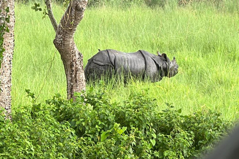 From Kathmandu to Chitwan: Jungle Safari + Meals &amp; Transport