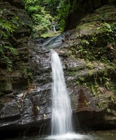 Zorro Falls Tour - Housity