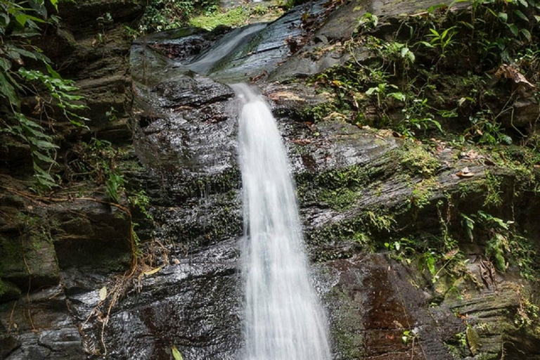 Tour des chutes de ZorroTour de la cascade Zorro