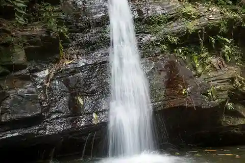 Zorro Falls Tour