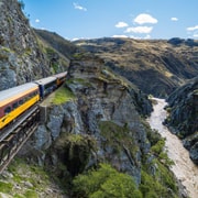 Queenstown to Dunedin Incl Taieri Gorge Train (One-Way)