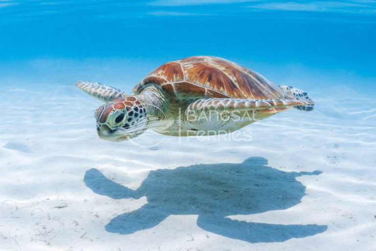 Fast Boat Transfer: Lombok/Gili Islands to Nusa Penida, Bali Gili Air to Serangan