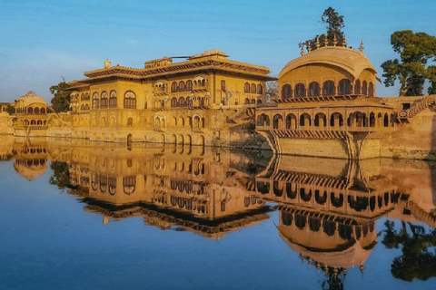 Tour de 3 días a Bharatpur y al Santuario de Vida Silvestre de Sariska desde Delhi