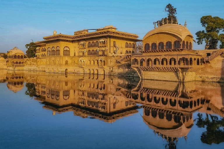 Tour de 3 días a Bharatpur y al Santuario de Vida Silvestre de Sariska desde Delhi