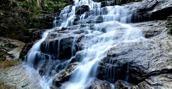 Quiet Krabi: Mangroves, Jungle & Waterfall Experience
