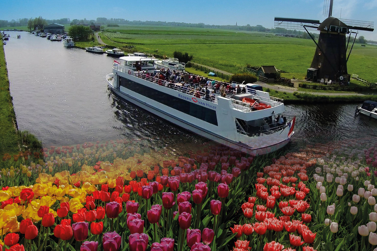 Amsterdam: Tour ai Giardini di Keukenhof con crociera sui mulini a vento