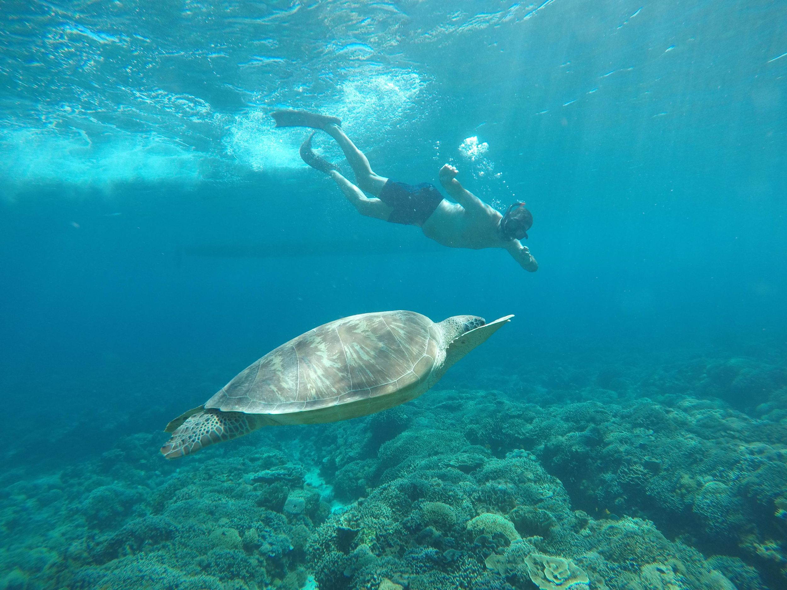 Gili Air Share Schnorcheltour mit GOPRO-Dokumentation