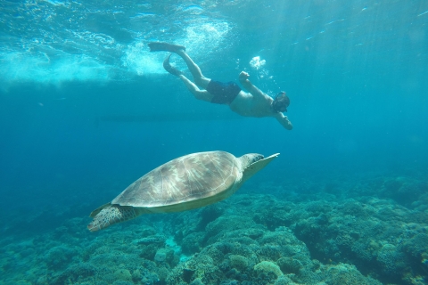 Niezapomniana prywatna wycieczka snorkelingowaNiezapomniana wycieczka na Gili Trawangan