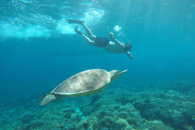 Niezapomniana prywatna wycieczka snorkelingowaNiezapomniana wycieczka na Gili Trawangan