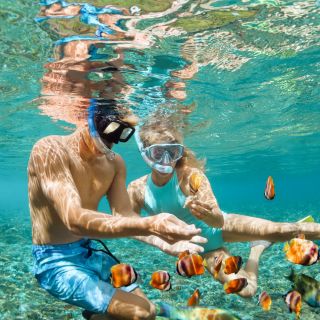 Coral Gardens o Molokini: snorkeling pomeridiano da Ma'alaea