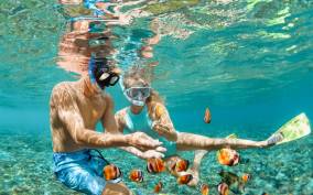 Maui: Afternoon Snorkel to Coral Gardens or Molokini Crater