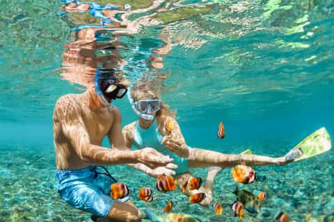 Maui: Afternoon Snorkel to Coral Gardens or Molokini Crater