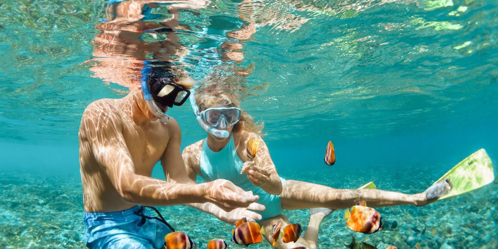 Maui: Afternoon Snorkel to Coral Gardens or Molokini Crater | GetYourGuide