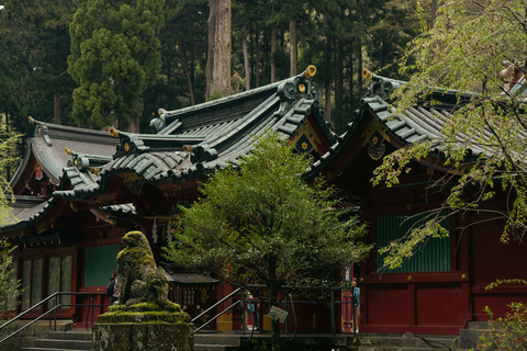 From Tokyo: Nikko Private Full-Day Tour with Driver Nikko Luxury Small group
