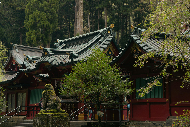 From Tokyo: Nikko Private Full-Day Tour with Driver Nikko Luxury Small group