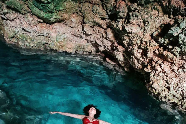 Zanzibar: Jozani-skogen, Kuza-grottan, The Rock och Mtende-strandenPrivat tur inkluderar upphämtning och avlämning vid hotell