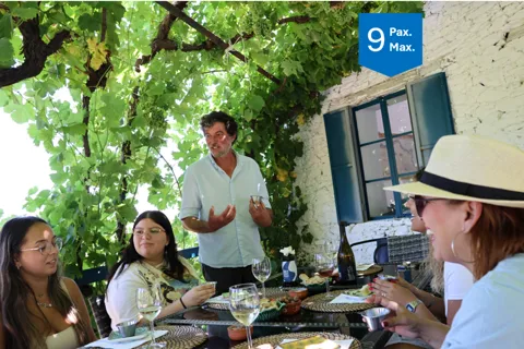DOURO VALLEY: Craft Wines tastings, lunch & 1-h boat tour