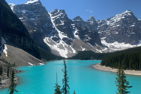 Moraine Lake and Lake Louise Blue Waters Tour