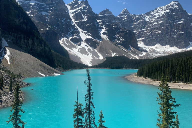 Moraine Lake and Lake Louise Blue Waters Tour