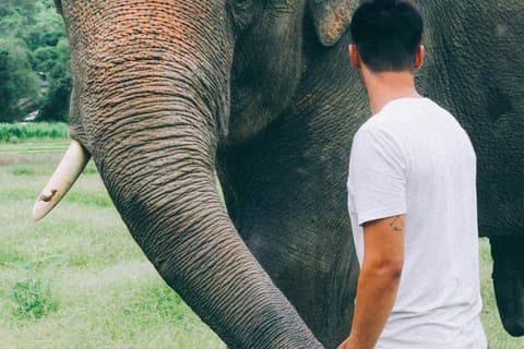 Delhi: All-Inclusive Day trip Taj Mahal with Elephant SOS