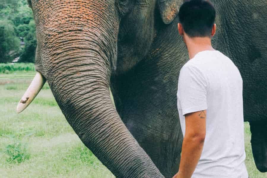 Delhi: All-Inclusive-Tagestour zum Taj Mahal mit Elephant SOS. Foto: GetYourGuide