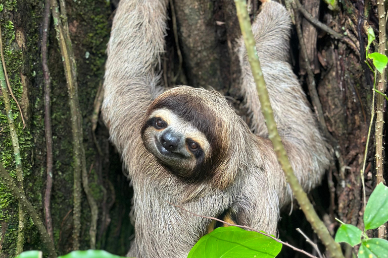 Manuel Antonio National Park: Guided Tour