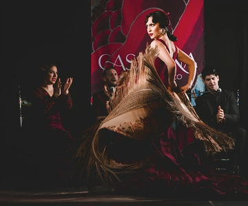Granada: Traditional Flamenco Show at Tablao Casa Ana