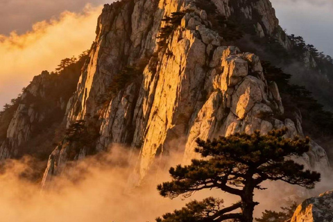 Shandong: Mount Tai Entry Ticket & Route Guide Mount Tai: UNESCO World Heritage Ticket & Route Guide