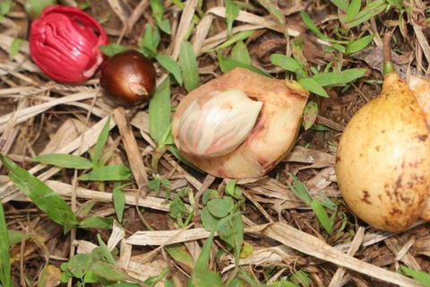 Spice Farm, Stone Town, Prison & Nakupenda+pick up+entry fee