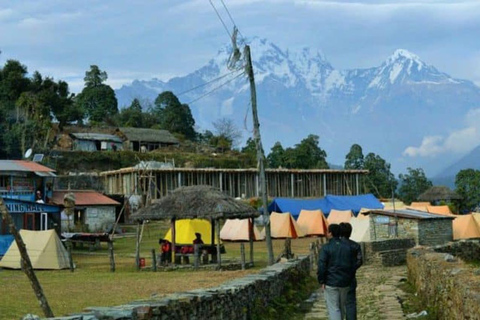 Pokhara: 2-Day Australian Base Camp & Dhampus Trek
