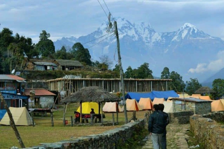 Pokhara: 2-Day Australian Base Camp & Dhampus Trek