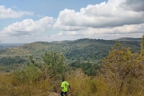 Diani: Guided day trip to Shimba Hills Reserve with lunch