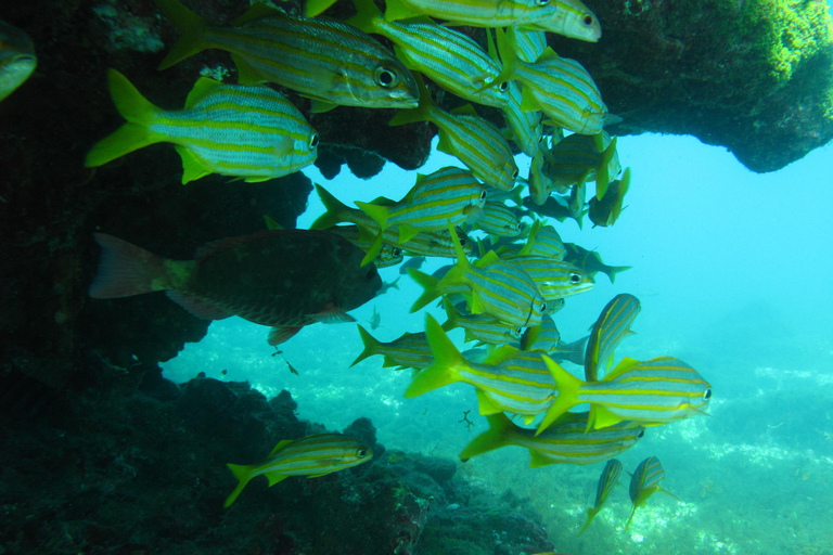 Half-Day Scuba Lesson For Beginners at Paraty Brazil
